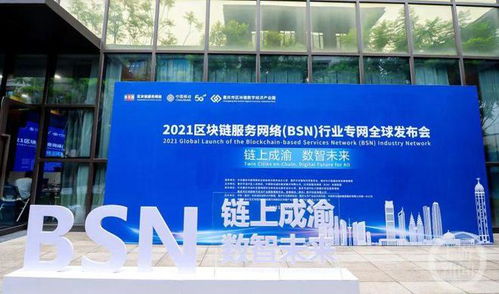对话在渝央企丨 小院家 乡村治理平台 为成渝地区双城经济圈建设注入 数智能量